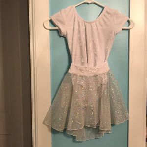 Soft Velvet leotard & silver irredentist skirt